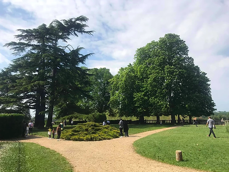 Chateau de Portets trail game