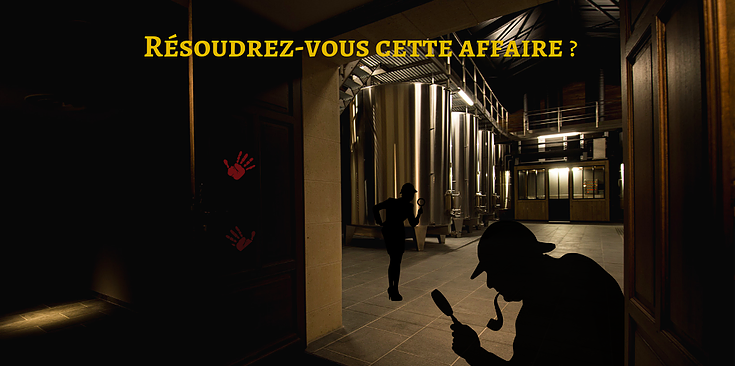 enquete chateau portets