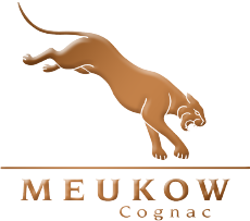 Logo Meukow