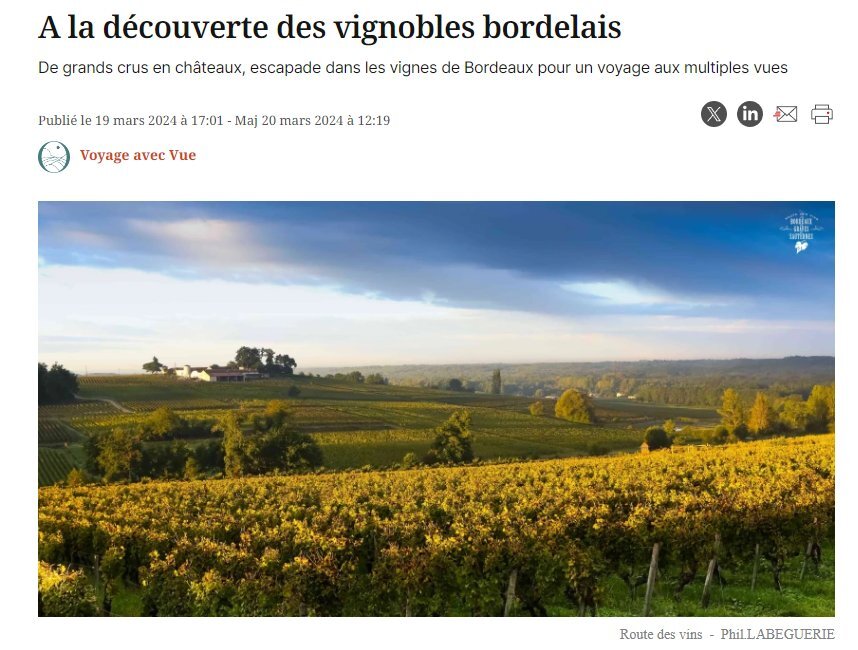decouverte vignobles bordelais
