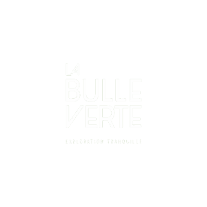 logo-bulle-verte