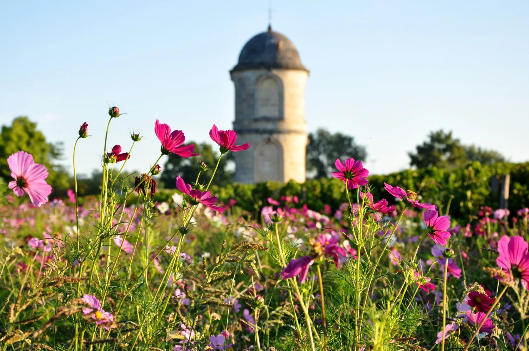 visites et degustations portets