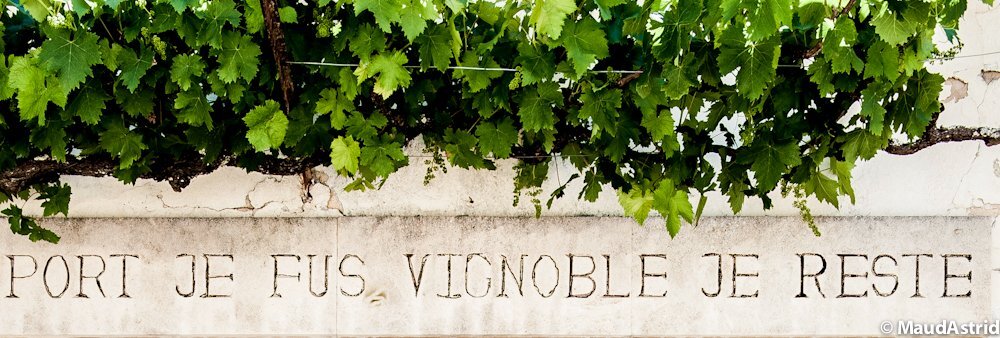 visuel portets inscription histoire